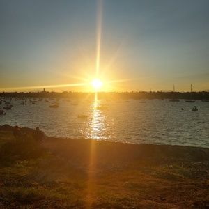 Meet your Posher, Anne